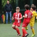 Krasov mednarodni turnir cicibanov in mlajših cicibanov