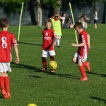 Krasov mednarodni turnir cicibanov in mlajših cicibanov