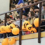 Breg - Il Michelaccio San Daniele