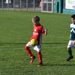 Krasov mednarodni turnir cicibanov in mlajših cicibanov