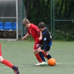 Krasov mednarodni turnir cicibanov in mlajših cicibanov