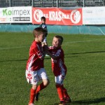 Krasov mednarodni turnir cicibanov in mlajših cicibanov