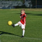 Krasov mednarodni turnir cicibanov in mlajših cicibanov