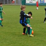 Krasov mednarodni turnir cicibanov in mlajših cicibanov