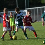 Krasov mednarodni turnir cicibanov in mlajših cicibanov