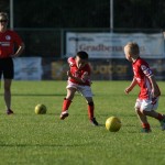 Krasov mednarodni turnir cicibanov in mlajših cicibanov