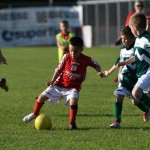 Krasov mednarodni turnir cicibanov in mlajših cicibanov