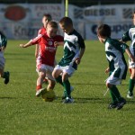 Krasov mednarodni turnir cicibanov in mlajših cicibanov