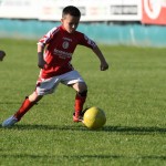 Krasov mednarodni turnir cicibanov in mlajših cicibanov