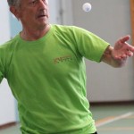 Primorska liga - sklepni turnir