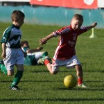 Krasov mednarodni turnir cicibanov in mlajših cicibanov