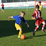 Krasov mednarodni turnir cicibanov in mlajših cicibanov