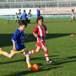 Krasov mednarodni turnir cicibanov in mlajših cicibanov