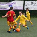 Krasov mednarodni turnir cicibanov in mlajših cicibanov