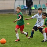 Krasov mednarodni turnir cicibanov in mlajših cicibanov