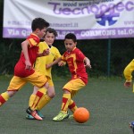 Krasov mednarodni turnir cicibanov in mlajših cicibanov