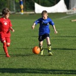 Krasov mednarodni turnir cicibanov in mlajših cicibanov