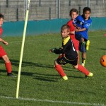 Krasov mednarodni turnir cicibanov in mlajših cicibanov