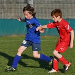 Krasov mednarodni turnir cicibanov in mlajših cicibanov