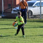 Krasov mednarodni turnir cicibanov in mlajših cicibanov