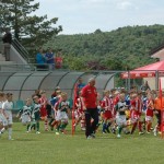 Krasov mednarodni turnir cicibanov in mlajših cicibanov