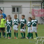 Krasov mednarodni turnir cicibanov in mlajših cicibanov