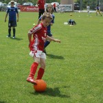 Krasov mednarodni turnir cicibanov in mlajših cicibanov