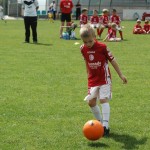 Krasov mednarodni turnir cicibanov in mlajših cicibanov