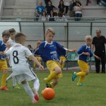 Krasov mednarodni turnir cicibanov in mlajših cicibanov