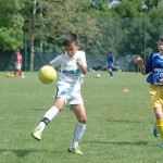 Krasov mednarodni turnir cicibanov in mlajših cicibanov