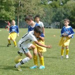 Krasov mednarodni turnir cicibanov in mlajših cicibanov