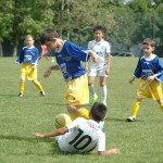 Krasov mednarodni turnir cicibanov in mlajših cicibanov