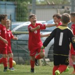 Krasov mednarodni turnir cicibanov in mlajših cicibanov