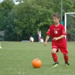 Krasov mednarodni turnir cicibanov in mlajših cicibanov