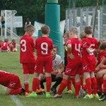 Krasov mednarodni turnir cicibanov in mlajših cicibanov