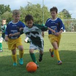 Krasov mednarodni turnir cicibanov in mlajših cicibanov