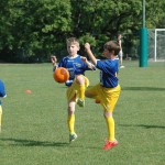 Krasov mednarodni turnir cicibanov in mlajših cicibanov