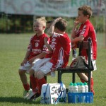 Krasov mednarodni turnir cicibanov in mlajših cicibanov