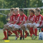 Krasov mednarodni turnir cicibanov in mlajših cicibanov