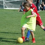 Krasov mednarodni turnir cicibanov in mlajših cicibanov