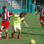 Krasov mednarodni turnir cicibanov in mlajših cicibanov