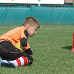 Krasov mednarodni turnir cicibanov in mlajših cicibanov