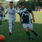 Krasov mednarodni turnir cicibanov in mlajših cicibanov