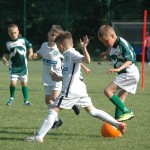 Krasov mednarodni turnir cicibanov in mlajših cicibanov