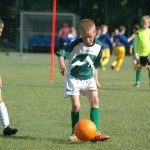 Krasov mednarodni turnir cicibanov in mlajših cicibanov