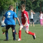 Krasov mednarodni turnir cicibanov in mlajših cicibanov