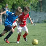 Krasov mednarodni turnir cicibanov in mlajših cicibanov