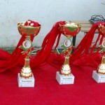 Krasov mednarodni turnir cicibanov in mlajših cicibanov