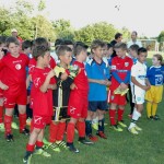 Krasov mednarodni turnir cicibanov in mlajših cicibanov