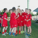 Krasov mednarodni turnir cicibanov in mlajših cicibanov